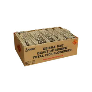 BEAST OF BURDEN 250'S DOUBLE COMPOUND